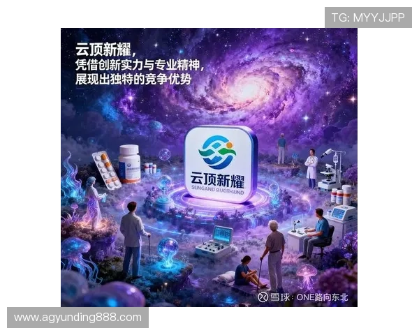 云顶投资有限公司在金融投资领域中的核心竞争优势