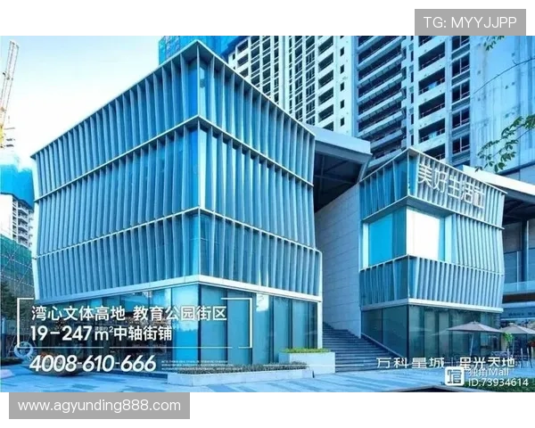 4008集团官网的品牌建设与市场推广策略分析