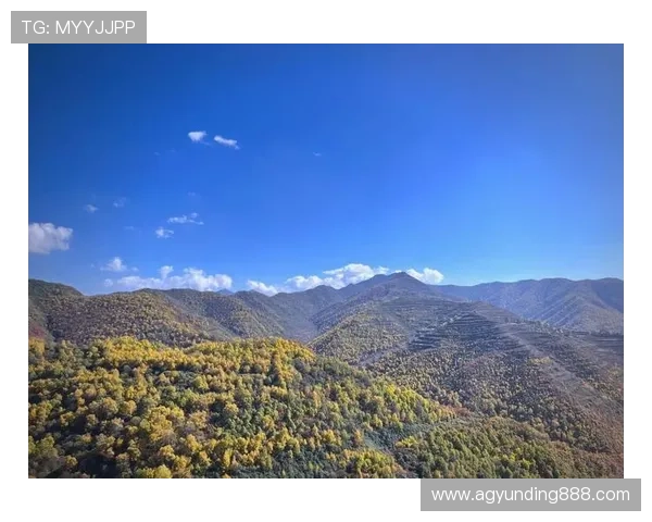 云顶山在哪儿详细位置介绍及交通指南,帮助游客轻松找到云顶山的最佳路线 云顶山在哪儿详细位置介绍及交通指南,帮助游客轻松找到云顶山的最佳路线