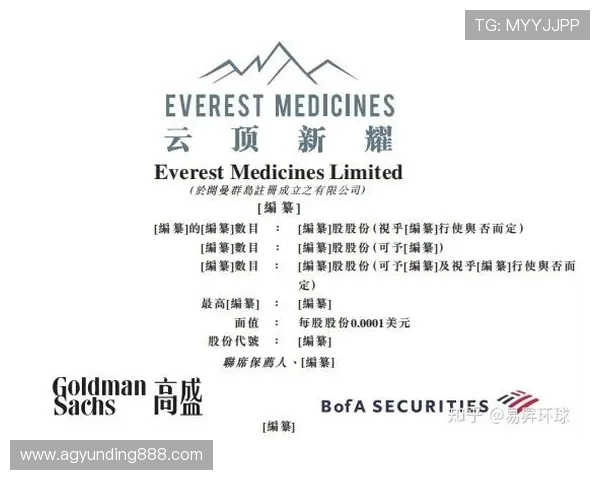 云顶新耀官网新手入门指南,帮助玩家快速理解游戏基础规则与操作技巧 云顶新耀官网新手入门指南,帮助玩家快速理解游戏基础规则与操作技巧