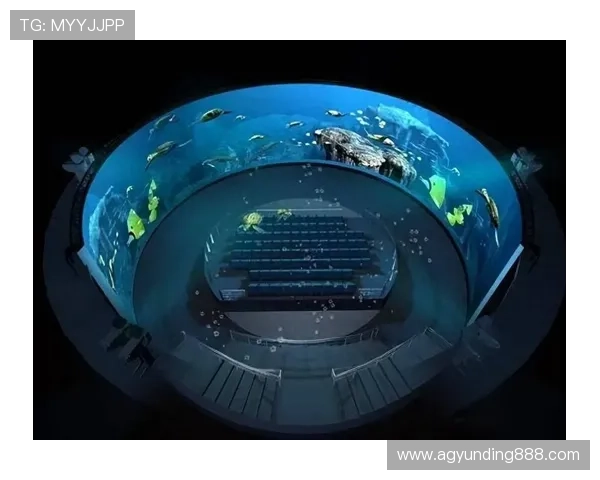 全面解析马来西亚云顶云星剧场官网的最新活动安排与观众服务，打造完美娱乐体验