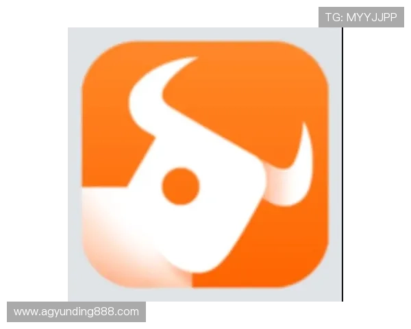 富途牛牛网页版操作指南，详细步骤教你快速上手股票交易平台