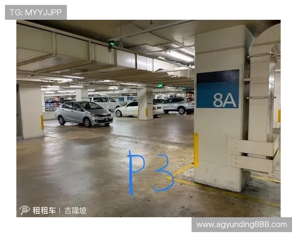 马来西亚赌场云顶网上平台的支付方式多样化与快速到账流程